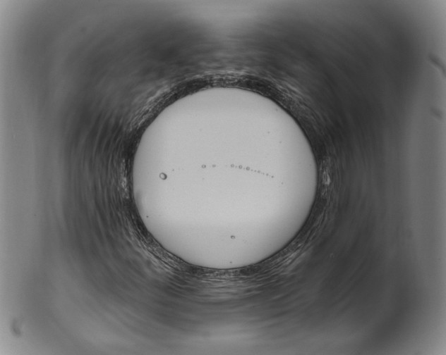 X0000100411252200806271436