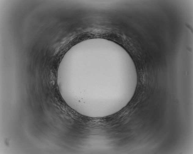 X0000100411253200806271436