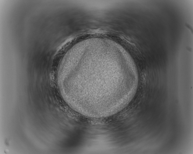 X0000100411254200806271436