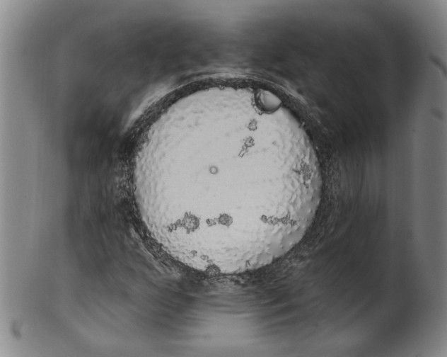 X0000100411255200806271436