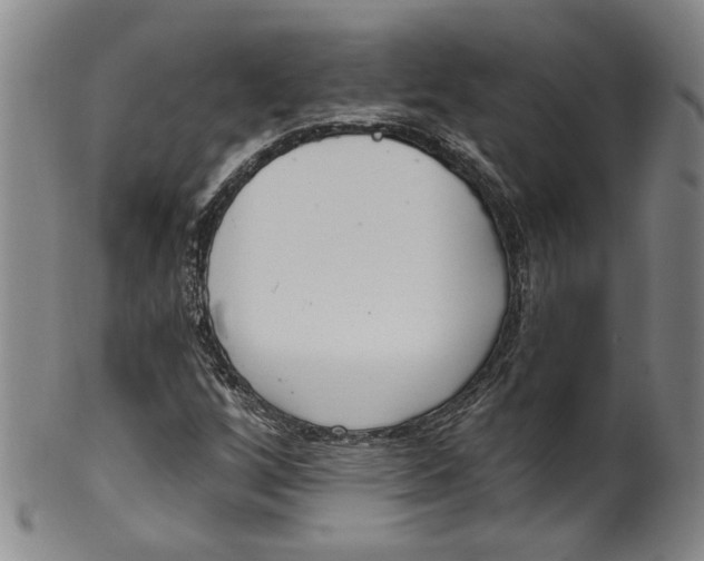 X0000100411256200806271436