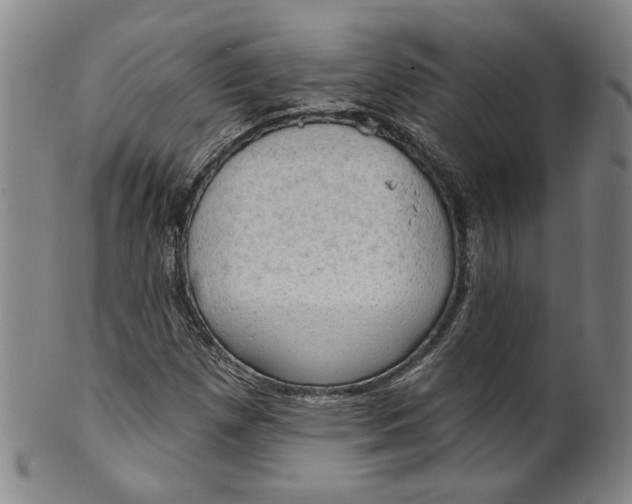 X0000100411257200806271436