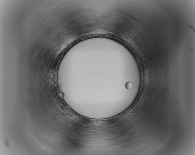 X0000100411258200806271435