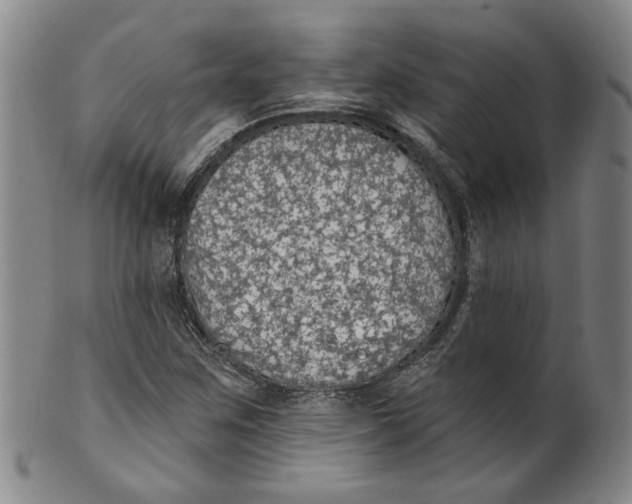 X0000100411259200806271435