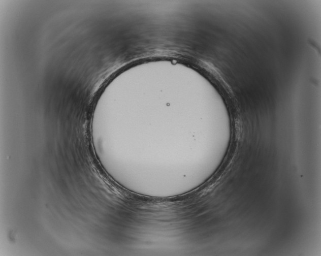 X0000100411260200806271435