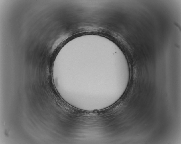 X0000100411261200806271435