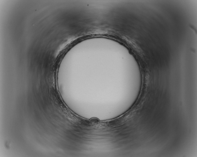 X0000100411262200806271435