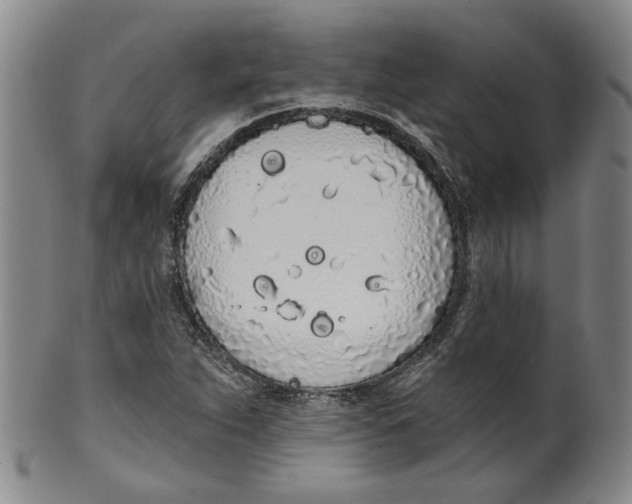 X0000100411263200806271435