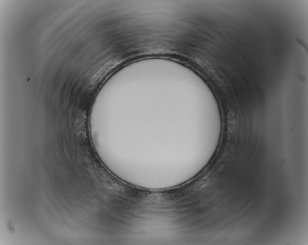 X0000100411265200806271435