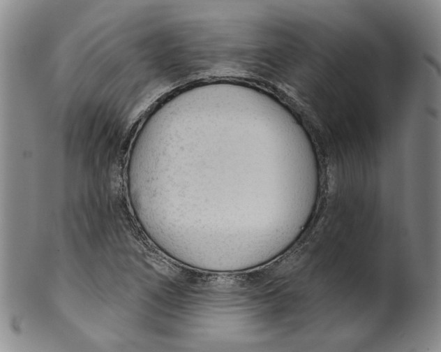 X0000100411266200806271435