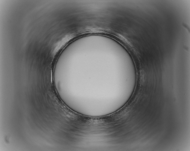 X0000100411269200806271435