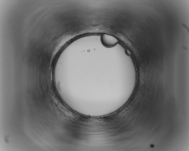 X0000100411270200806271435