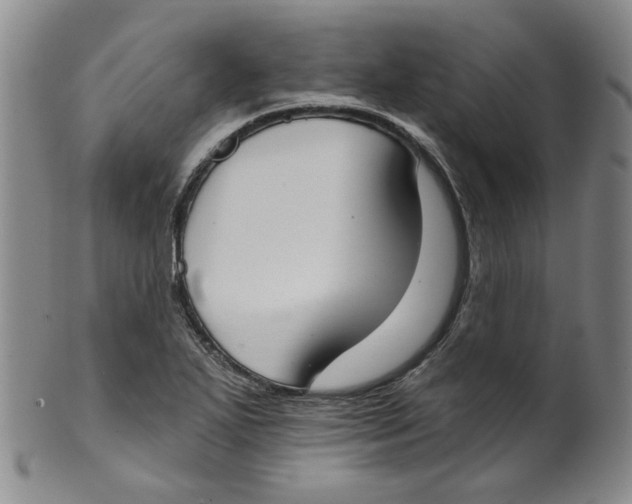 X0000100411271200806271435