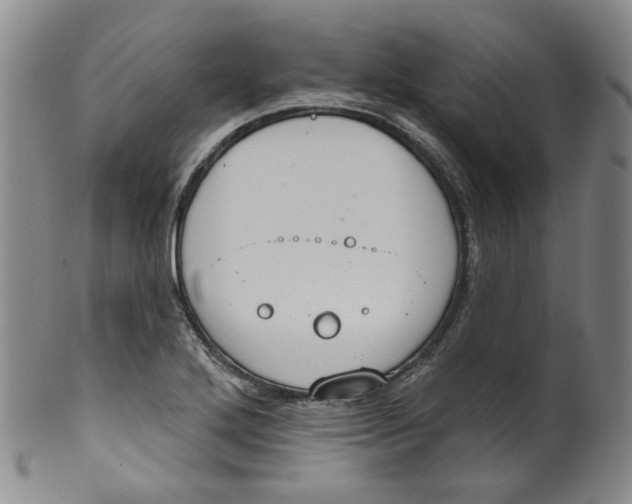 X0000100411272200806271435