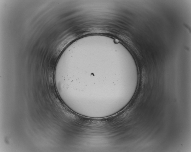 X0000100411273200806271435