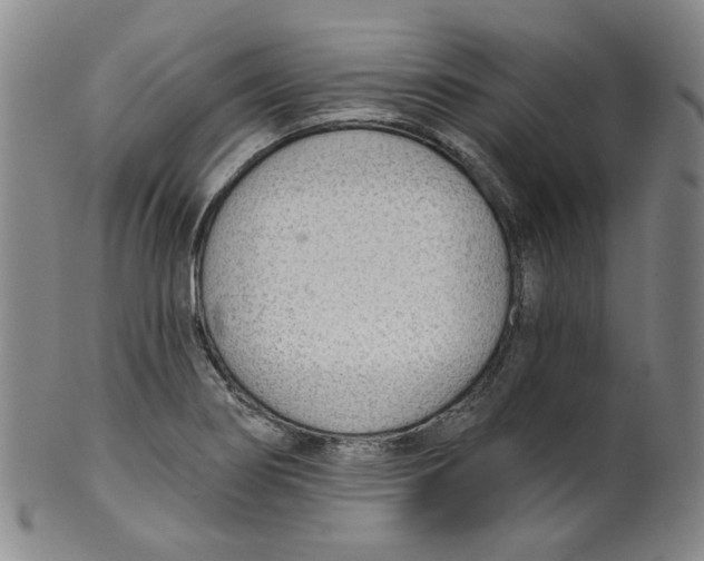 X0000100411274200806271435