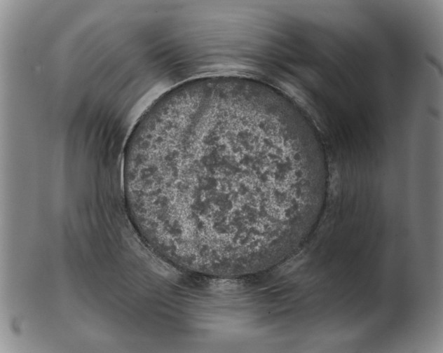 X0000100411275200806271435