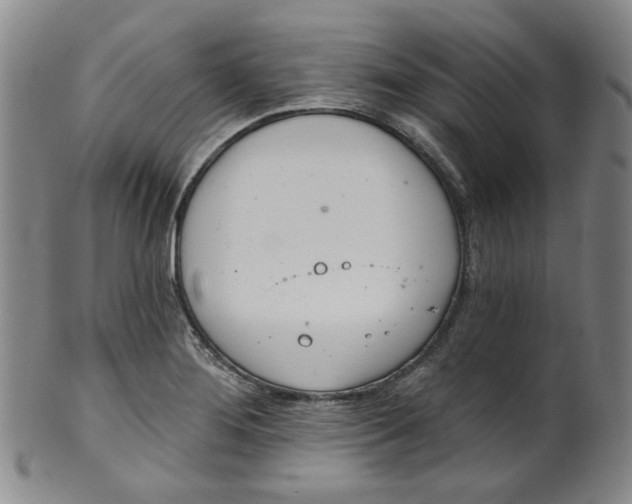 X0000100411276200806271435