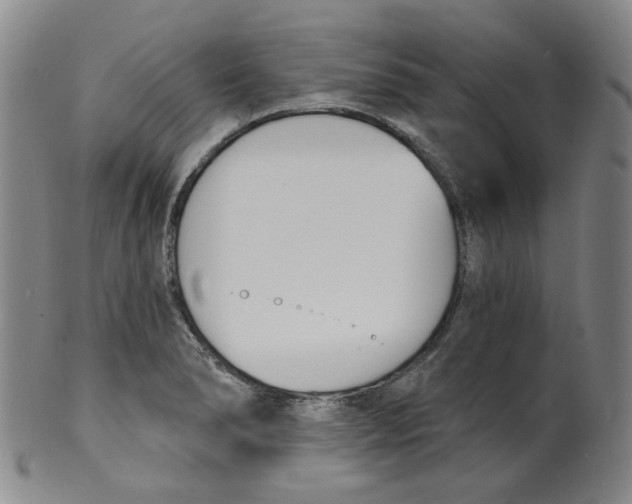 X0000100411278200806271435