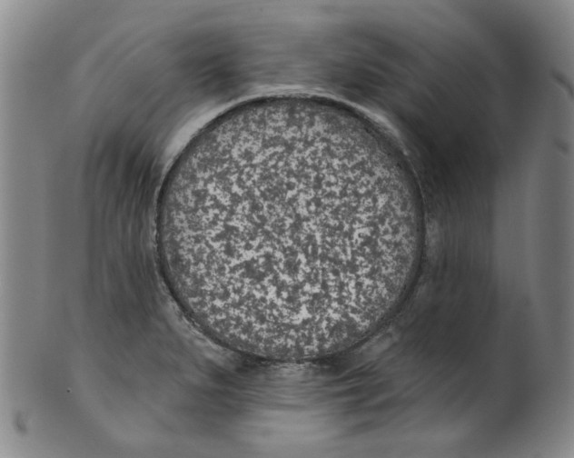 X0000100411279200806271435