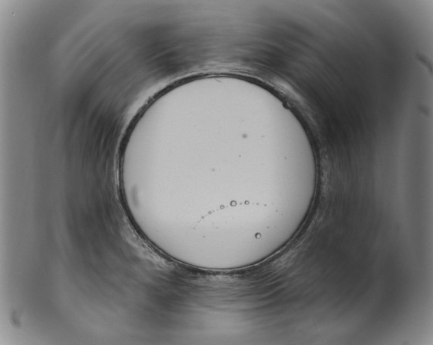 X0000100411280200806271435