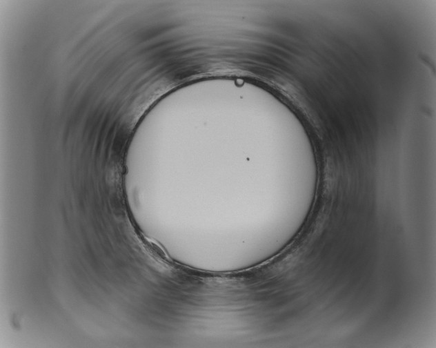 X0000100411281200806271435