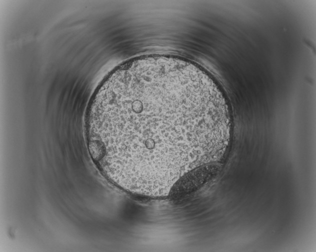 X0000100411283200806271435