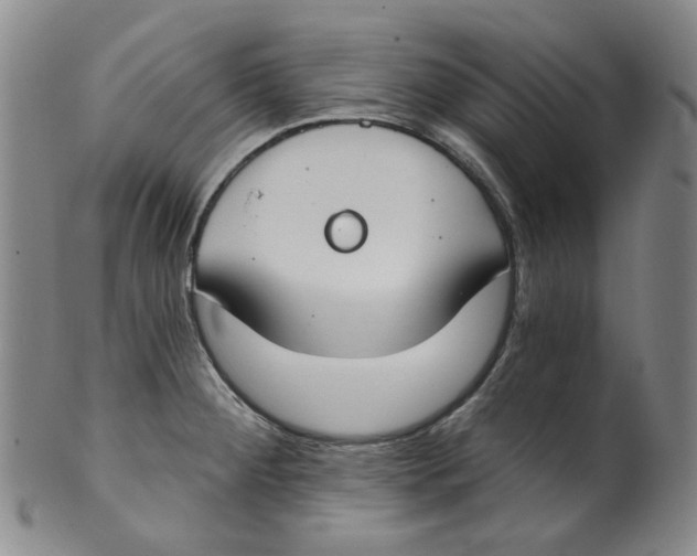 X0000100411284200806271435