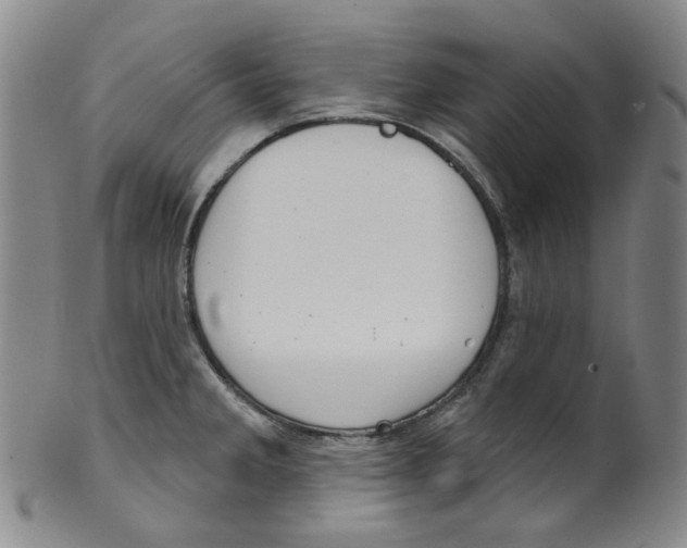 X0000100411285200806271435