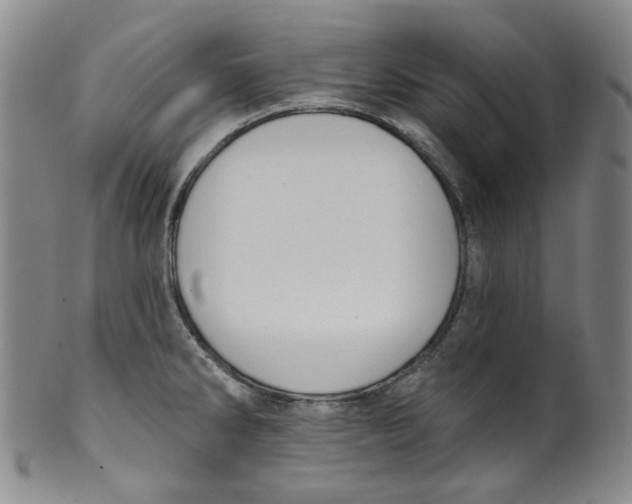 X0000100411286200806271435