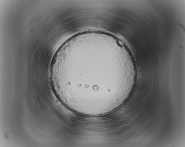 X0000100411287200806271435