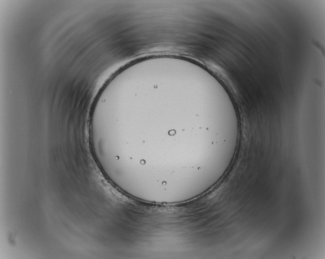 X0000100411288200806271435