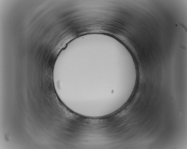 X0000100411289200806271435