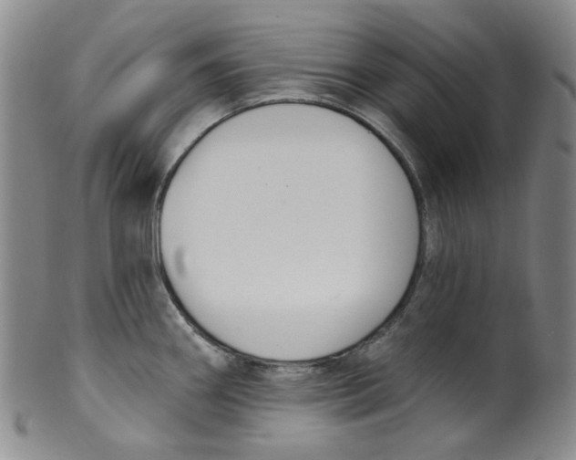 X0000100411290200806271435