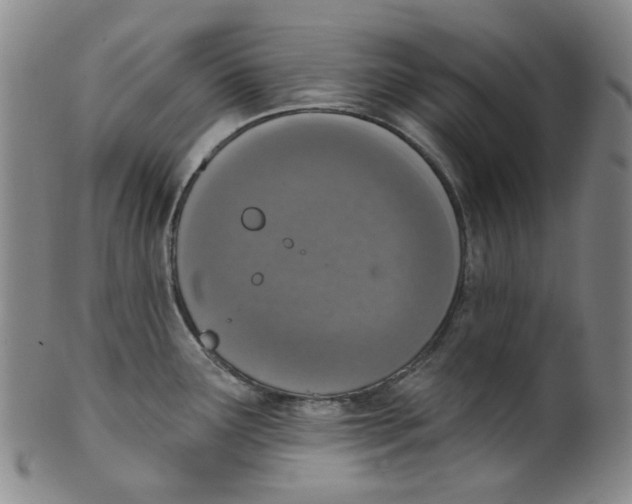 X0000100411291200806271435