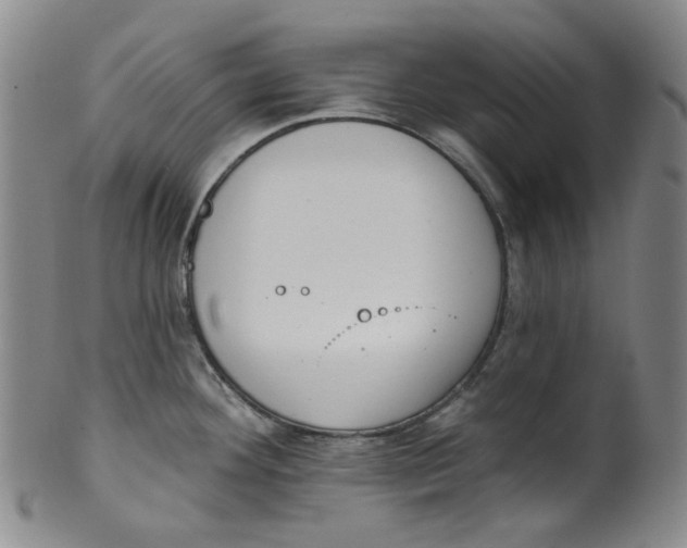 X0000100411292200806271435