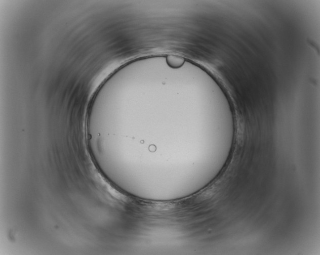 X0000100411294200806271435