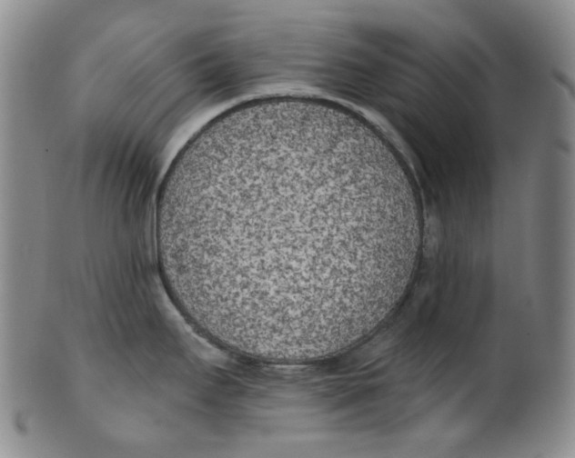 X0000100411295200806271435