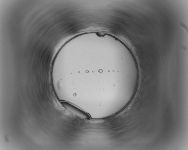 X0000100411296200806271435