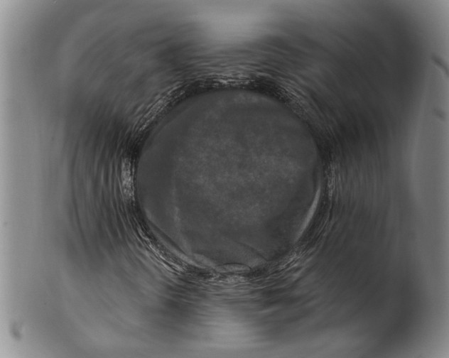 X0000100411298200806271434