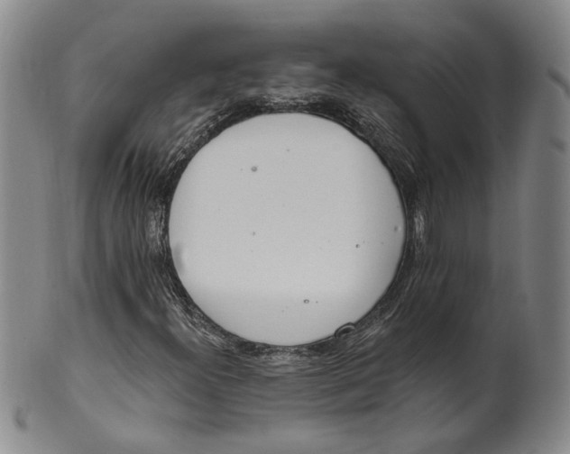 X0000100411300200806271434