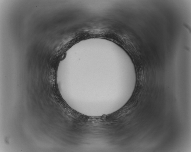 X0000100411301200806271434