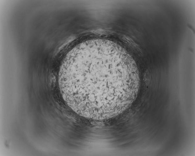 X0000100411302200806271434