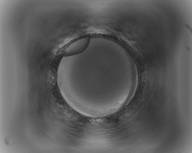 X0000100411303200806271434