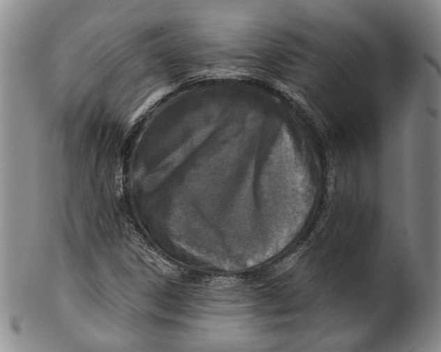 X0000100411306200806271434