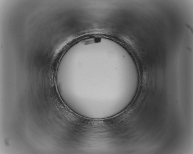 X0000100411310200806271434