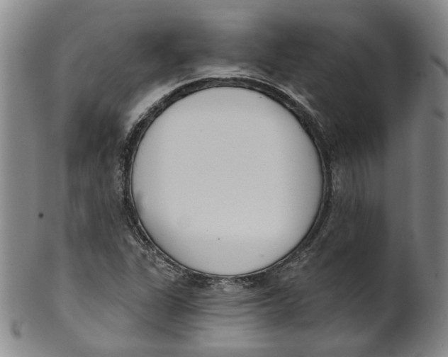 X0000100411311200806271434