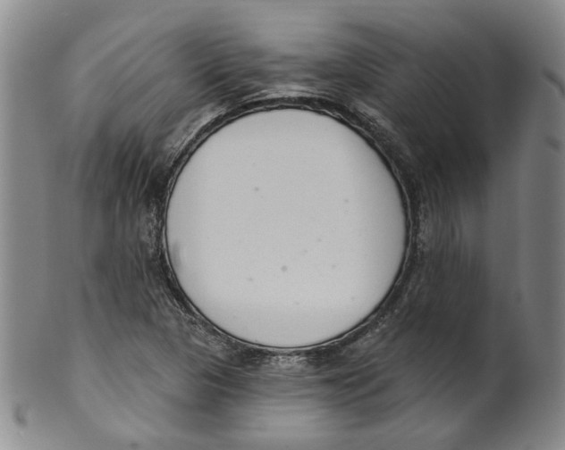 X0000100411313200806271435