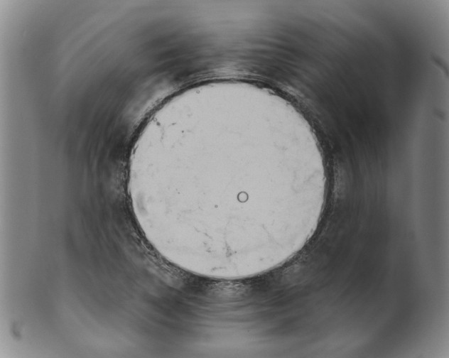 X0000100411314200806271435