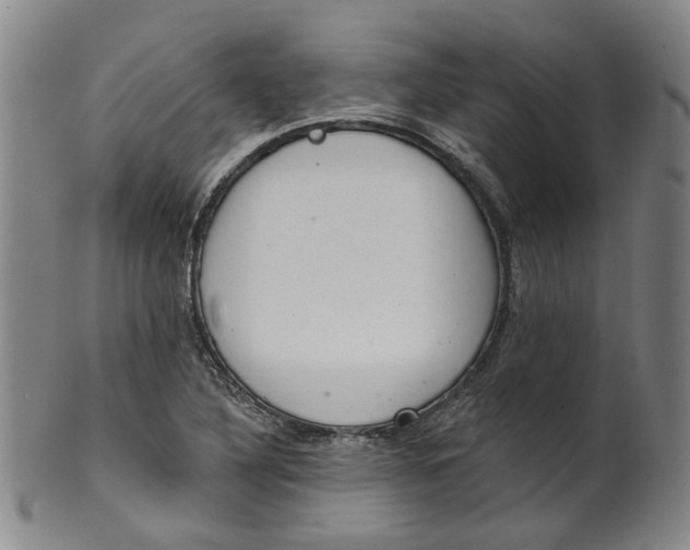 X0000100411316200806271435